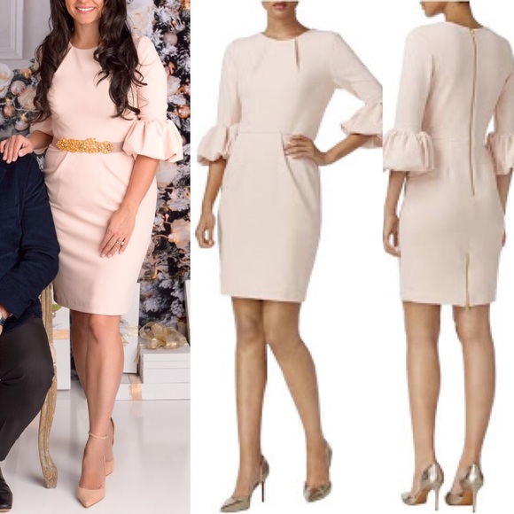 Betsy Adam pink dress bell sleeve pencil zipper 10 - Picture 3 of 9